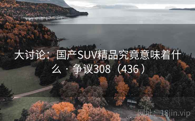 大讨论：国产SUV精品究竟意味着什么 · 争议308（436 ）
